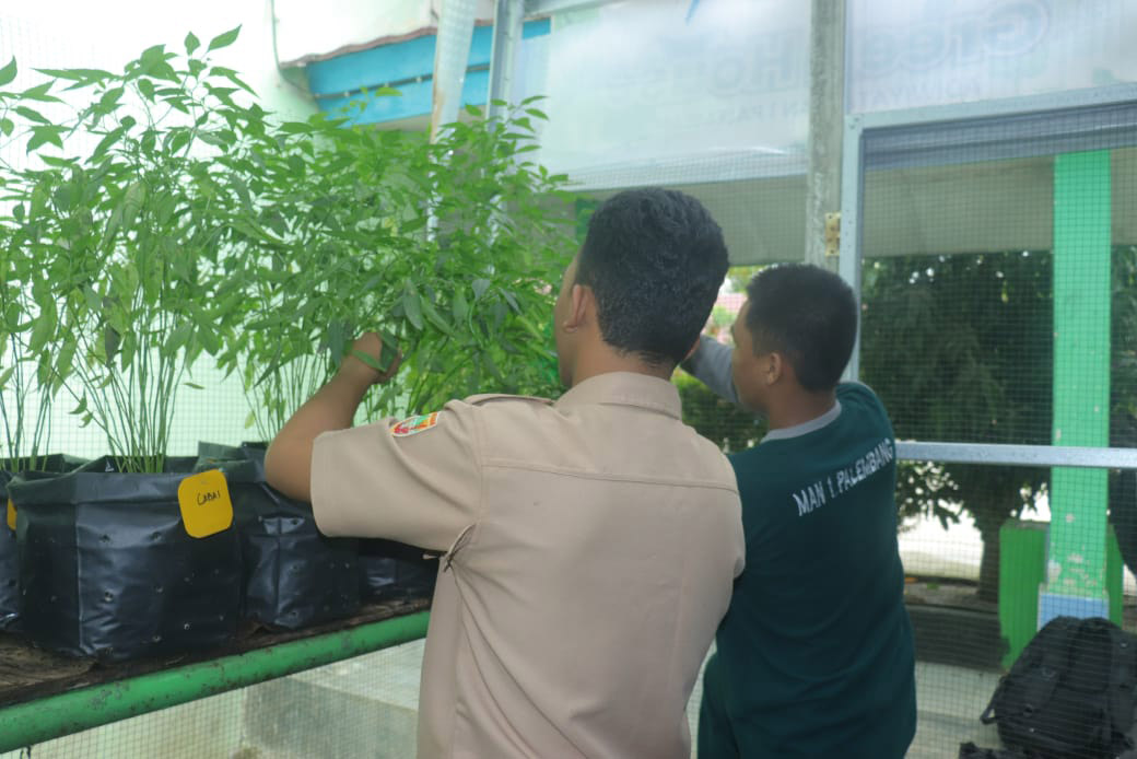 Implementasi Ekoteologi, Siswa MAN 1 Palembang Konsisten Hijaukan Madrasah melalui Gerakan Adiwiyata